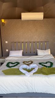 MAYA RUM LUXURY CAMP & Jeep Tours - 8