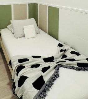 The Nest Bunk & Capsule MbZ - 4