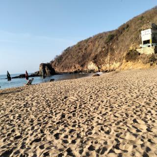 ecohabitas - 4