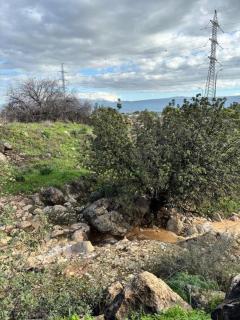 אירוח בעמק - 4