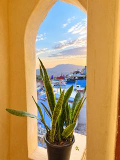 Riad Mosaic - 1