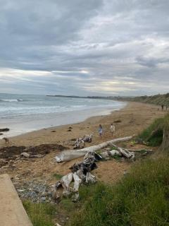 Whale Inn, Kakanui - 3