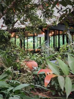 Ruanpanalee Resort - เรือนปณาลี รีสอร์ท - 2