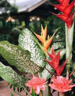 Ruanpanalee Resort - เรือนปณาลี รีสอร์ท - 1