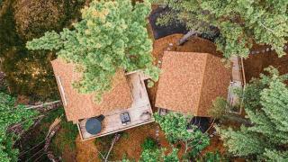 MoonLight Treehouse At Belgrade Hospitality - 3