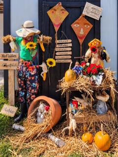 Tinyhouse Alpakas Ruhe&Natur Lavendelnest Südburgenland- Frühstück zubuchbar - 7