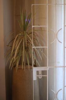 Ilaba Apartment - 2 minutes from Mont Choisy Beach - 9