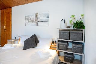 Apartment with mountain view and spa access - 1