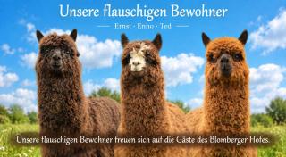 Appartementhotel Blomberger Hof - 7