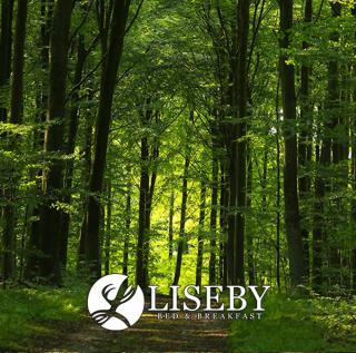 Liseby Bed & Breakfast - Stege - 3