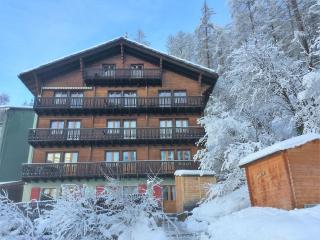 Trudi Terrace Matterhorn Views - 7