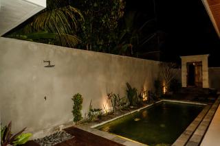 Villa Yasmin Lodtunduh Ubud - 5