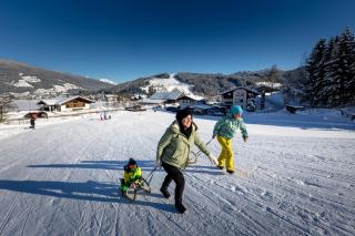 Familienhotel Felsenhof - 8