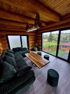 Pensiunea Grizzly Resort - 7