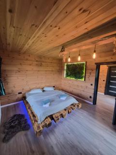 Pensiunea Grizzly Resort - 5