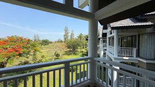 Allamanda - 8