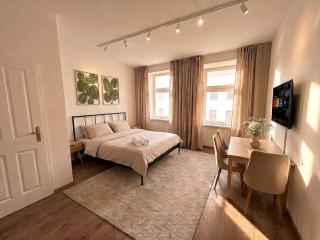 Newly renovated city apartment, near Schönbrunn - T19 - 0