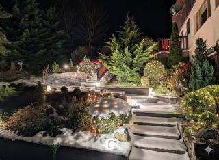 Bergnest Bungalow - 1