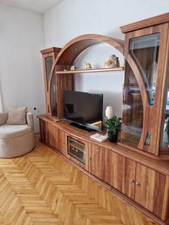 Apartman BLUERESIDENCE Šamac - 3