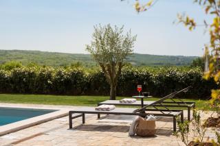 Rustic Villa Cardamine with a pool in Istria - 2