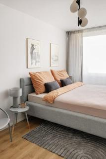 PLAZA Apartman - 7