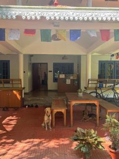 Barefoot Hostels Varkala - 9