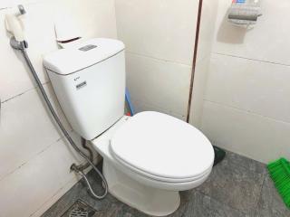 Hoa Mi 201HTD - 1
