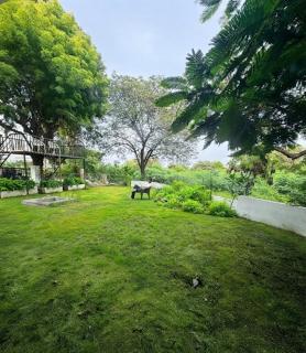 The Sarmaya stays - 6