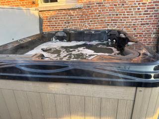 Horse farm in Beveren - 4