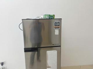 Bông Trắng PDM302 - 2