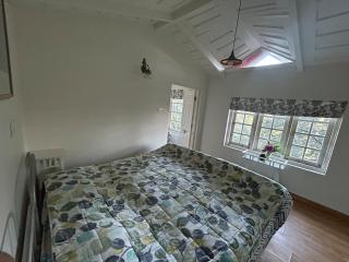 House in Historic Shimla - 4