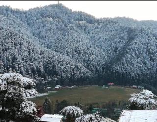 House in Historic Shimla - 9