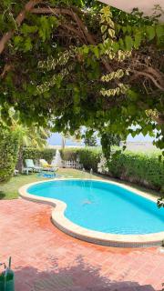 Villa of dreams with swimming pool S 3 - Hammamet - 7