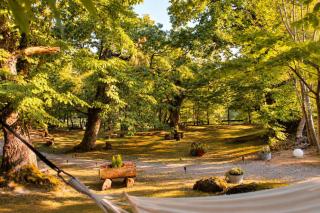 Il Bosco di Paolo - Glamping - 2