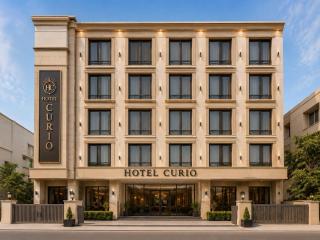 Hotel Curio Near IGI Airport Delhi - 0