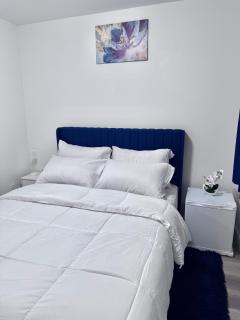 Cozy Central Winnipeg Suite ,Private and Quiet - 8