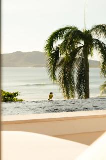 NOAM by the sea Boutique Hotel Adults Only - 4
