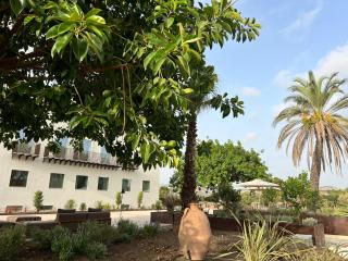 Dimora Vadalusa Luxury Contemporary Retreat & SPA - Agrigente - 3