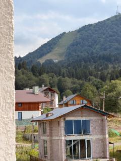Hotel in Bakuriani - 3