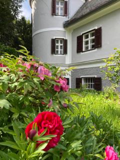 Villa Sturmberg - 0