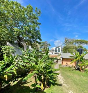 Lil House at Plum Tree Apartments - 7