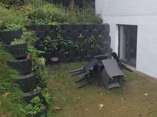 Apartment im Grünen bis 7 Personen - 4
