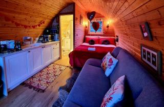 Forester's Retreat Luxury Glamping - Cambrian View- 2x Dogs accepted- FREE Parking-Peaceful and Private location for a quite ESCAPE! - 9