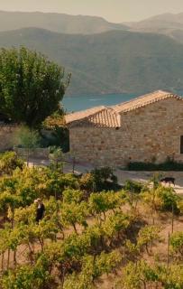 THE VINEYARD HOUSES - Pasithea - 9