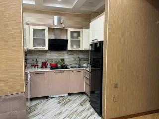 The MTK apartments is 5 minutes walk from the Port Baku F1 area - 5