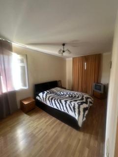 Tsereteli Apartment - 8