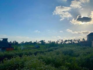 Rumah Dua Ubud - 4