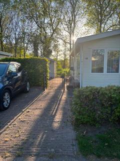 De verdwaalde Zeeuw - 3