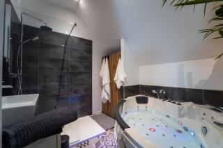 Comfortable apartment near Europa-Park - 4