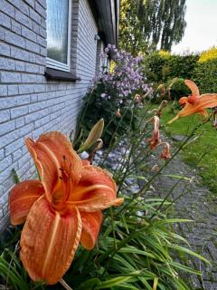 Spacious house with garden - 7
